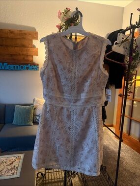Sleeveless Lace Mini Dress in Blush